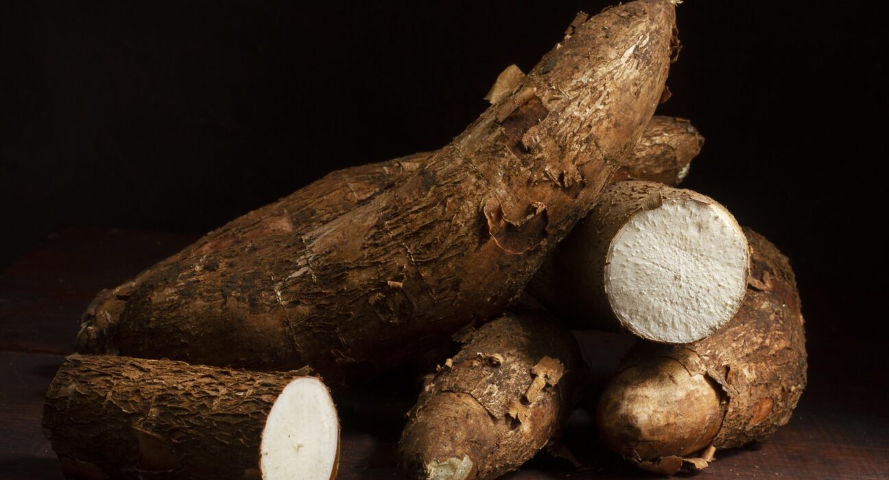 Yuca