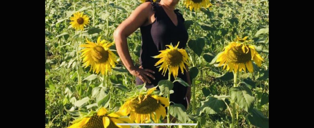 Campo de girasoles
